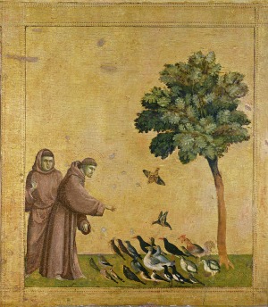 Saint Francis of Assisi Preaching to the Birds - Giotto-di-Bondone