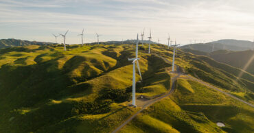 The Expert’s Edge: Current Environment and Resource Management Law insights from our leading editors